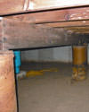 Mold and rot thriving in a dirt floor crawl space in Asheville