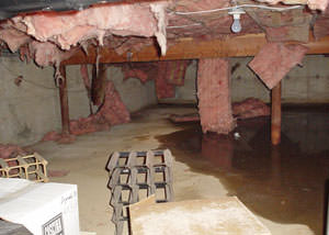 fiberglass insulation dripping off the ceiling of a crawl space in Simpsonville.