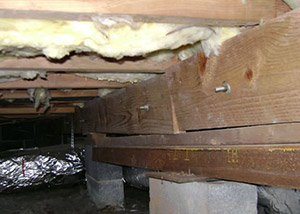 sagging crawl space with wooden shimming a Taylors crawl space