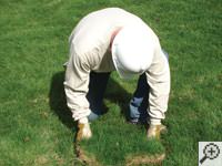 Restoring the landscaping by replacing removed sod on the ground for a Greenwood home.