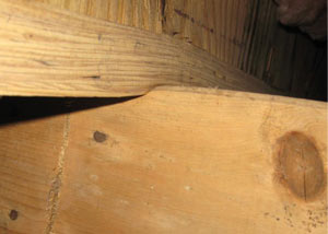 A failing girder showing signs of compression damage in a North Carolina, South Carolina & Georgia home