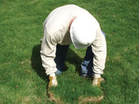 Restoring the landscaping by replacing removed lawn sections for a Lexington home.