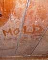 The word mold written with a finger on a moldy wood wall in Hendersonville