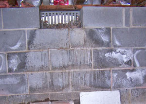 Open crawl space vents allowing in humidity and water in Brevard