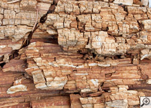 Dry rot damage on wood in Inman