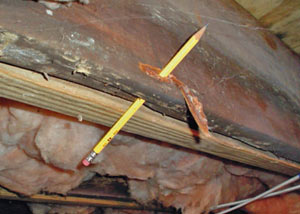 Destroyed crawl space structural wood in Candler