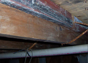Rotting, decaying wood from mold damage in Newberry