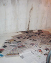 Leaky basement wall crack repair in SC, NC and GA