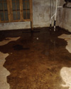 Wet basement repair in Greenville & nearby